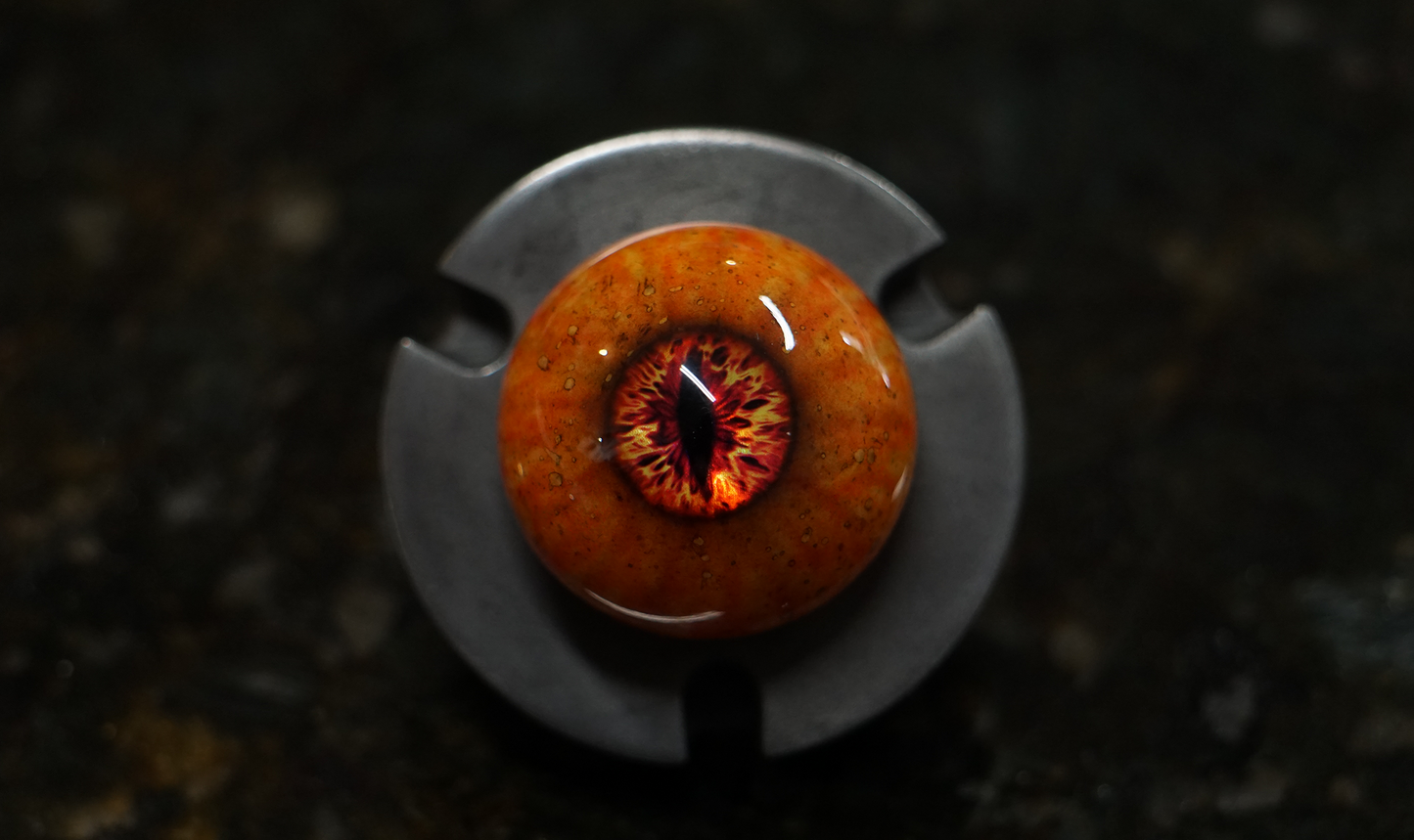 Camera Ready Premium Eye: Foil Iris Test No. 1