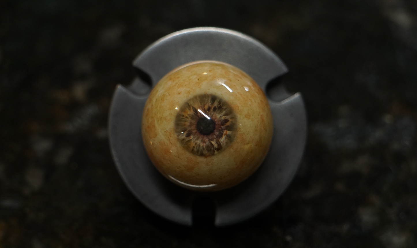 Camera Ready Premium Eye: Zombie Test No. 1