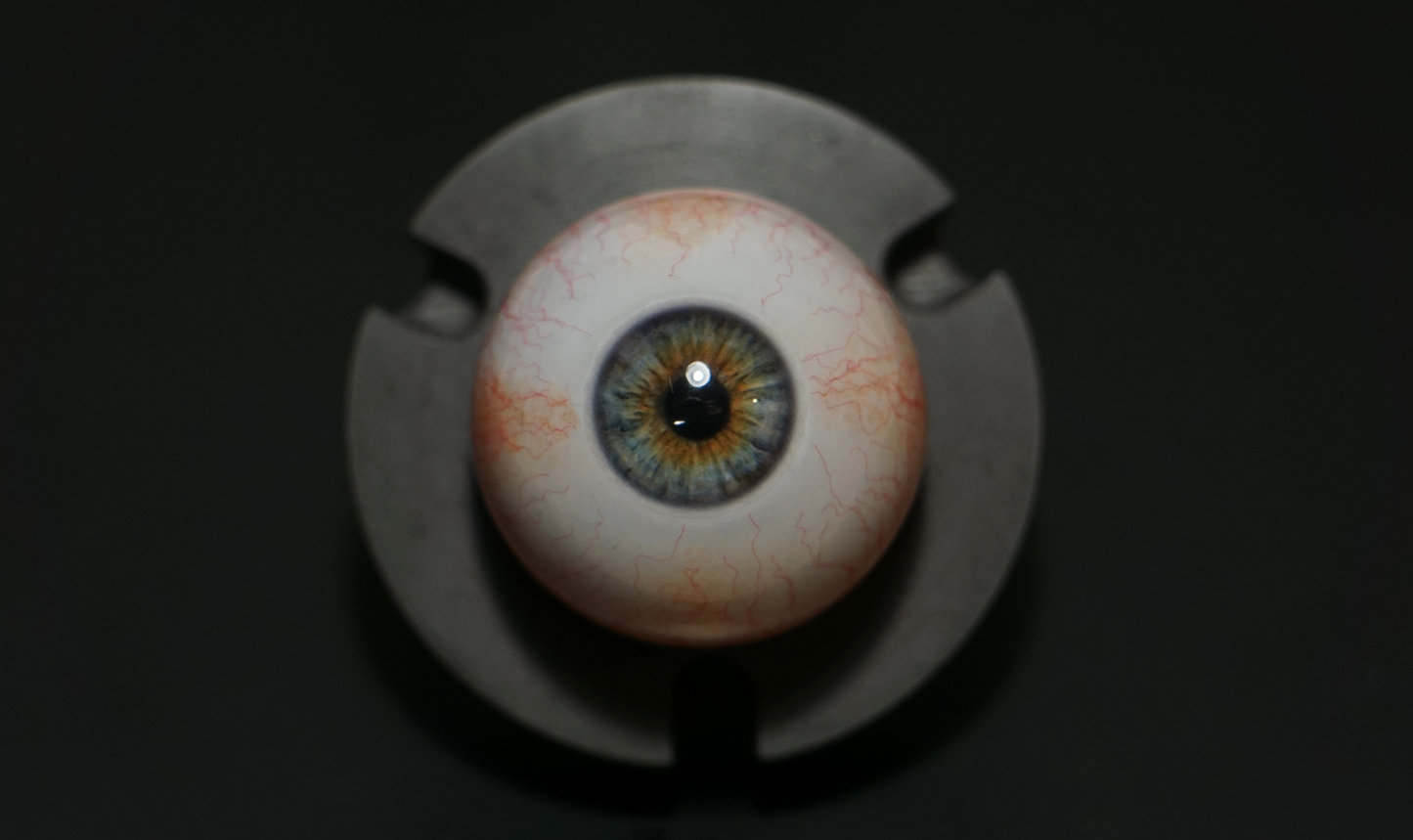 Camera Ready Blue-Hazel