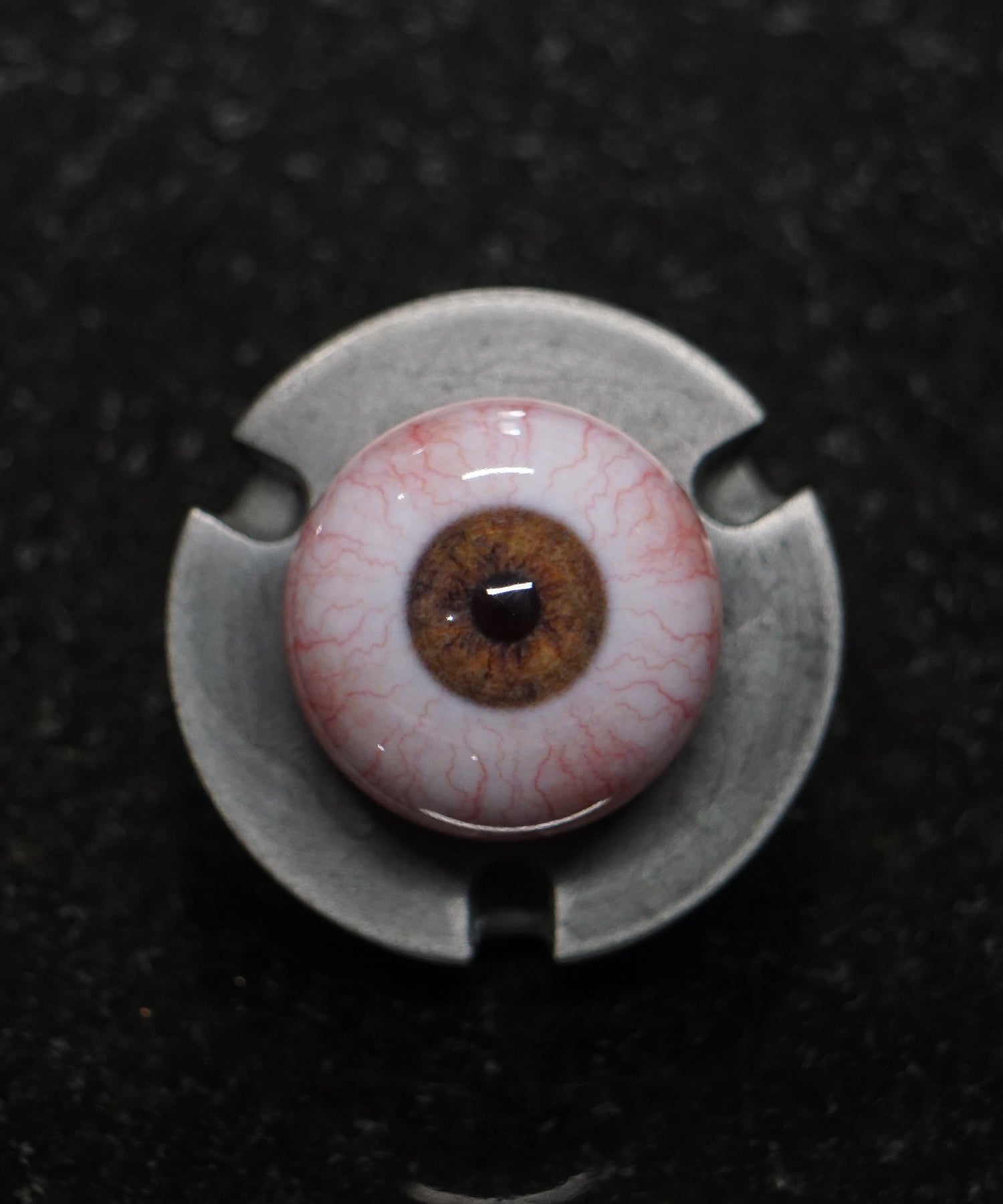 Camera Ready Brown-Hazel - (Almond)