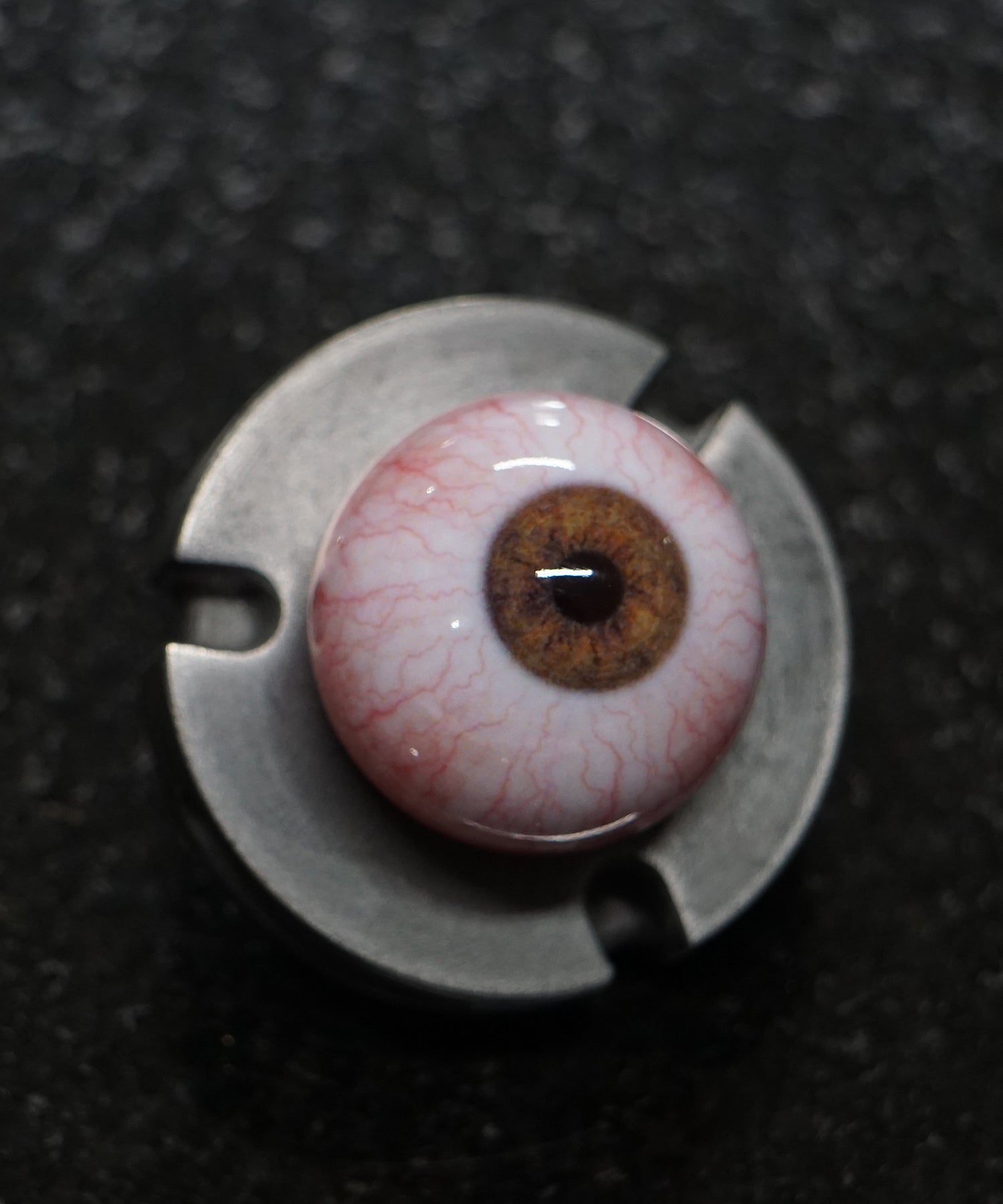 Camera Ready Brown-Hazel - (Almond)