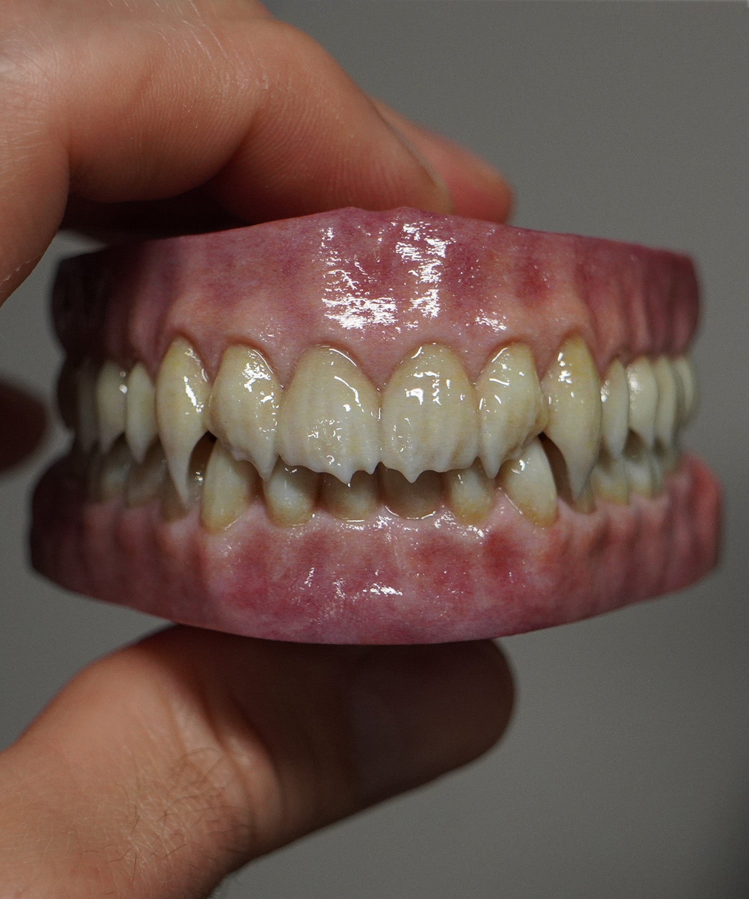 Vampyre - Artificial Teeth Set
