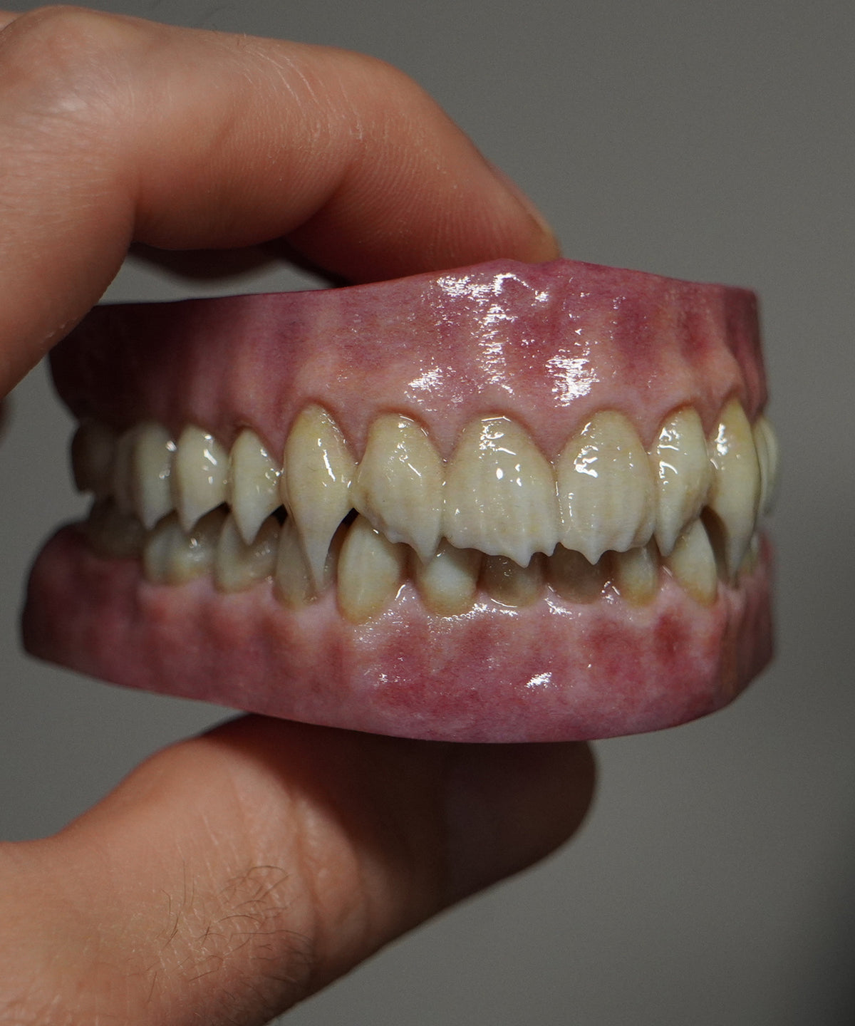 Vampyre - Artificial Teeth Set