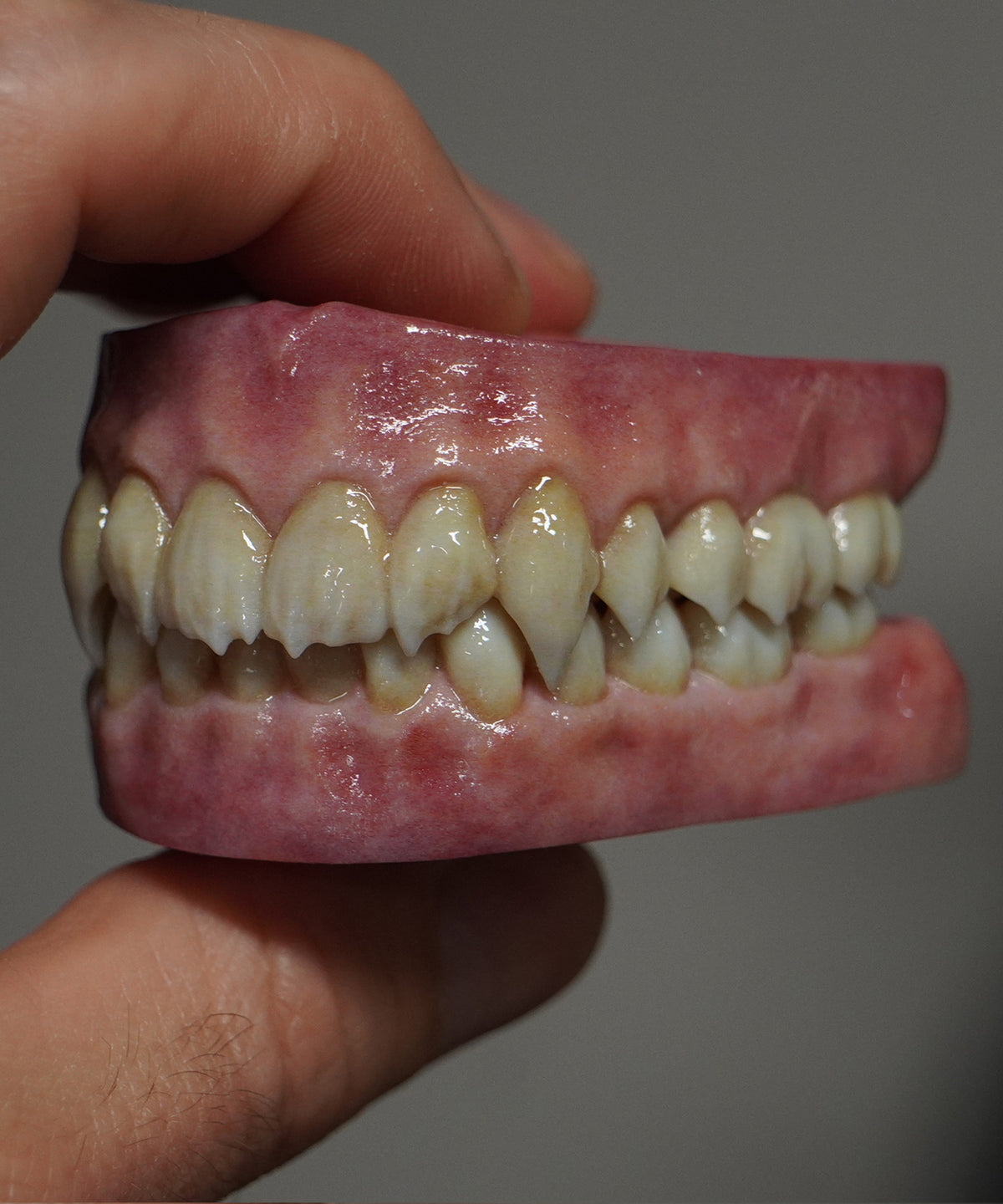 Vampyre - Artificial Teeth Set