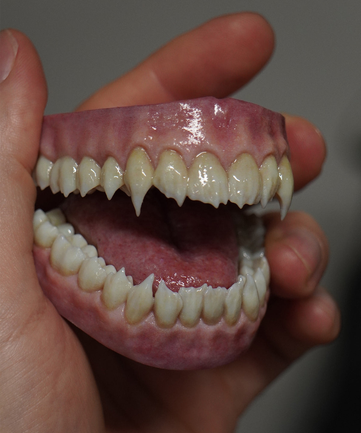 Vampyre - Artificial Teeth Set