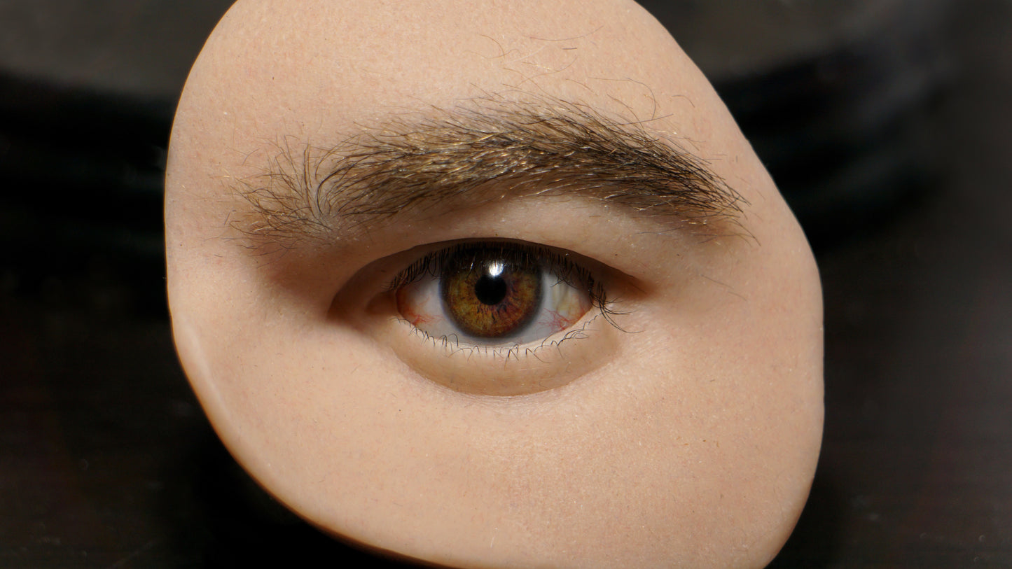 Human Male Silicone Orbital Eye Display