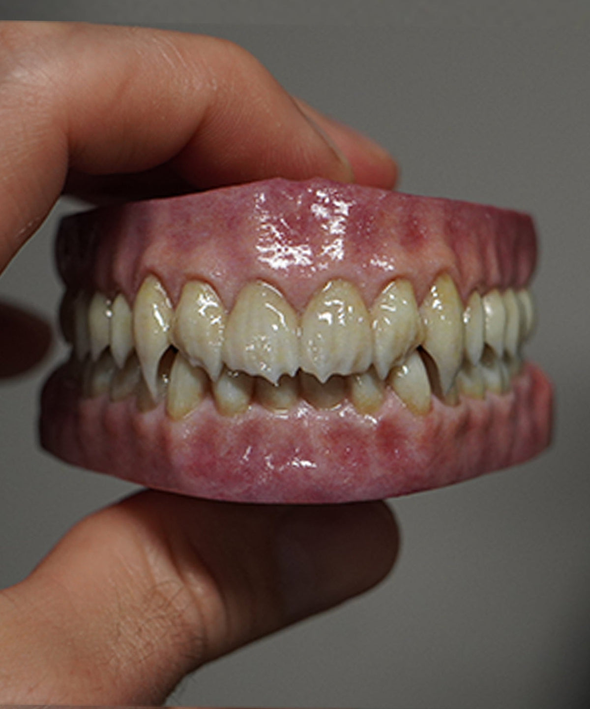 Artificial Teeth