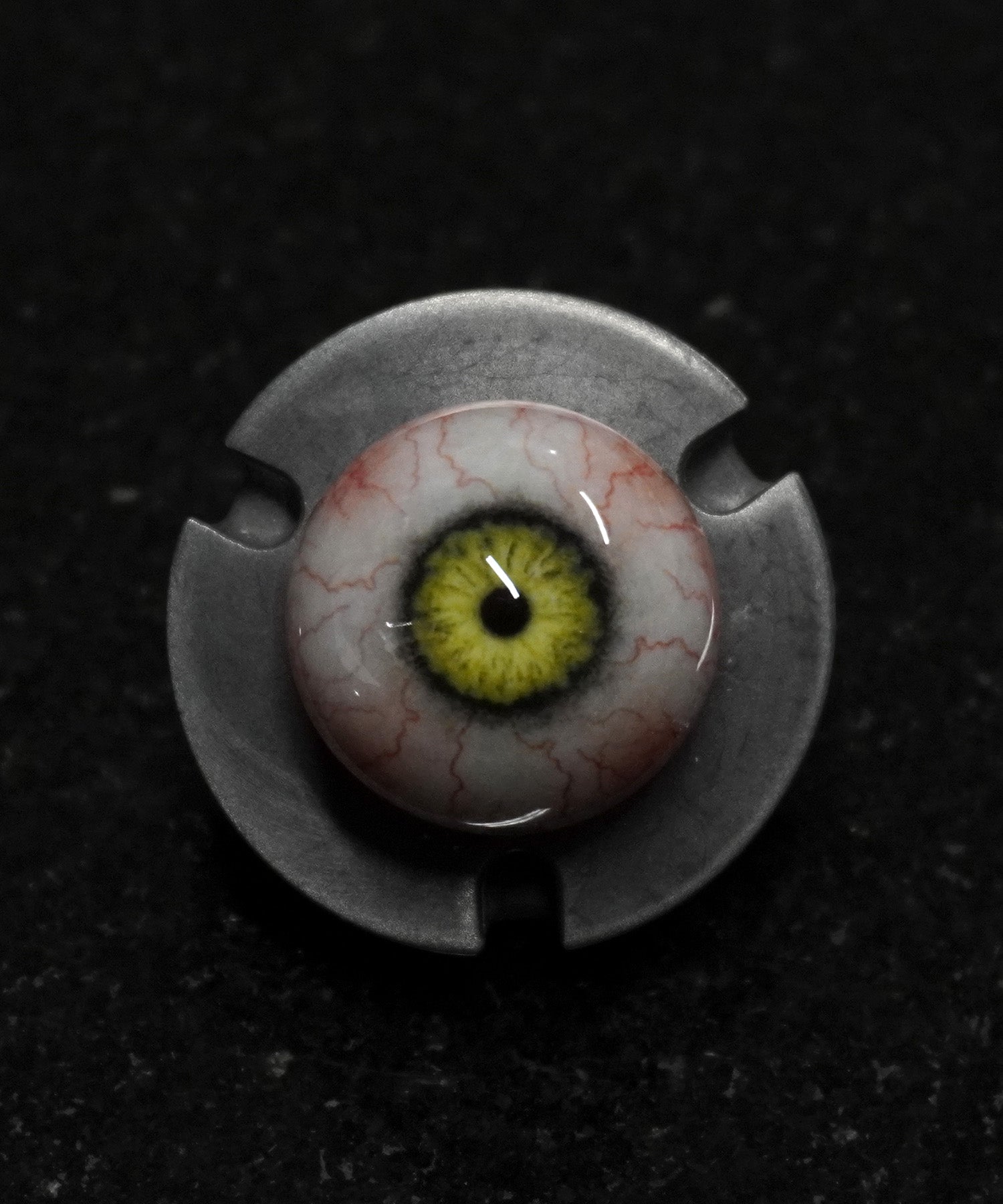 Charles Lee Ray Eyes