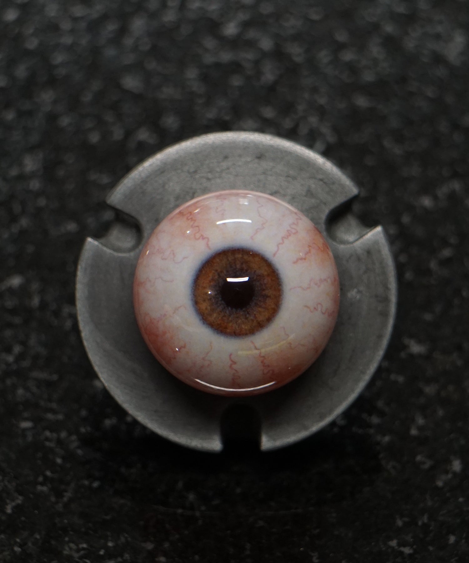 Premium Russet Brown