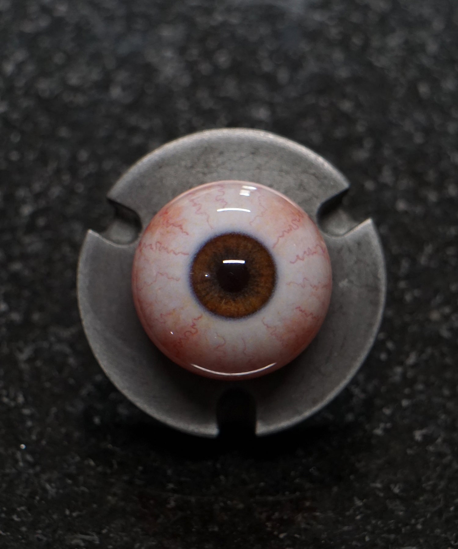 Premium Russet Brown