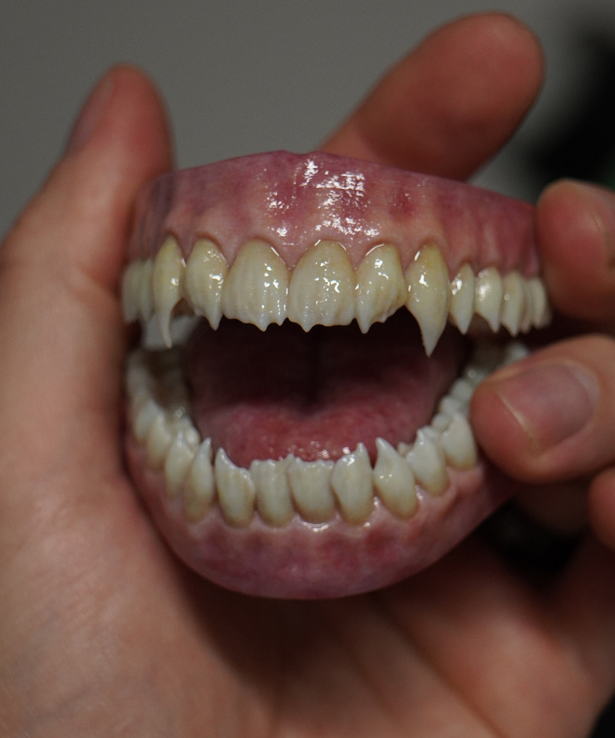 Vampyre - Artificial Teeth Set